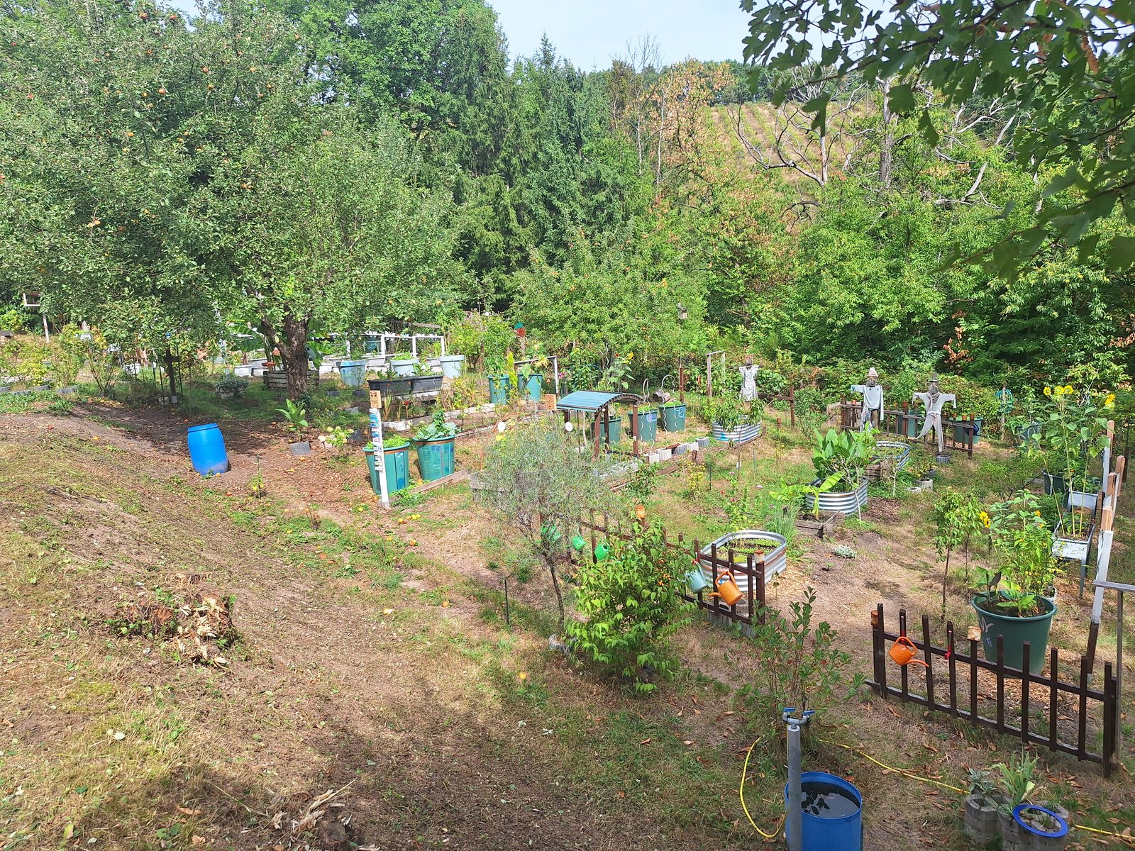 Der Schulgarten der Grundschule Staufenberg